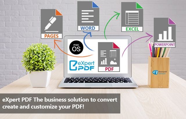 Create, edit, convert and annotate all of your PDF documents!